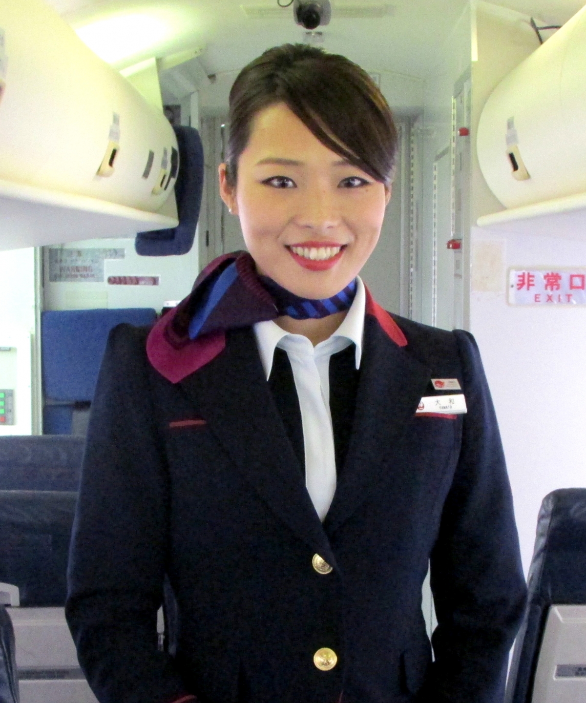 日本エアシステム 運航乗務員 胸章ウイングマーク